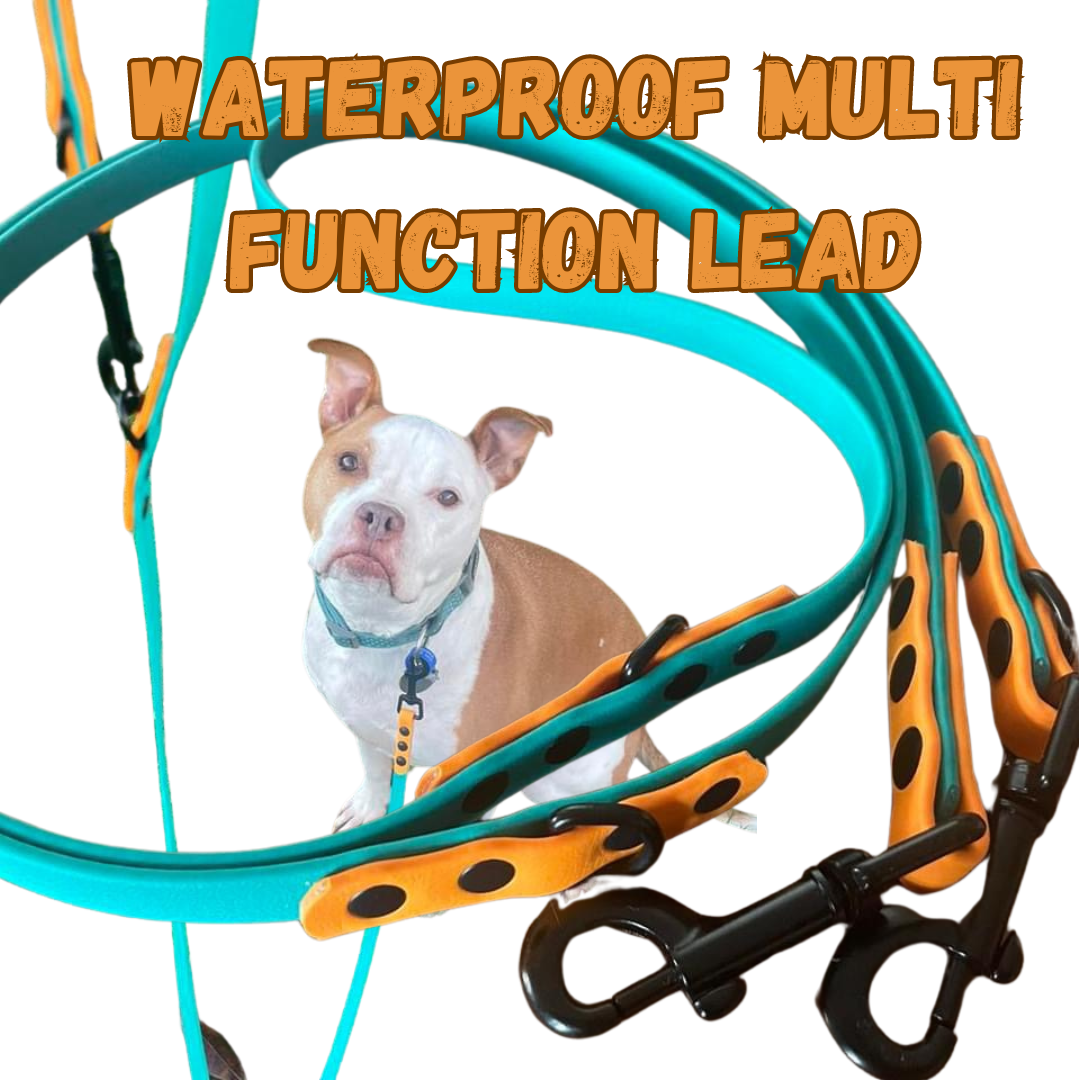 BioThane Multi Function Dog Lead Shine Pets