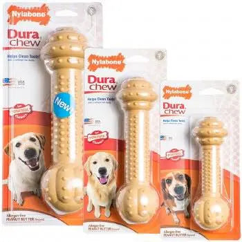 Nylabone dura hotsell chew barbell