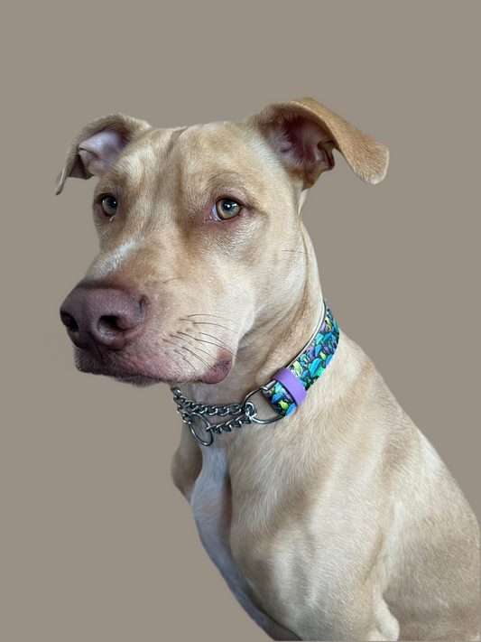 BioThane MARTINGALE Dog Collar (adjustable) - UV Printed