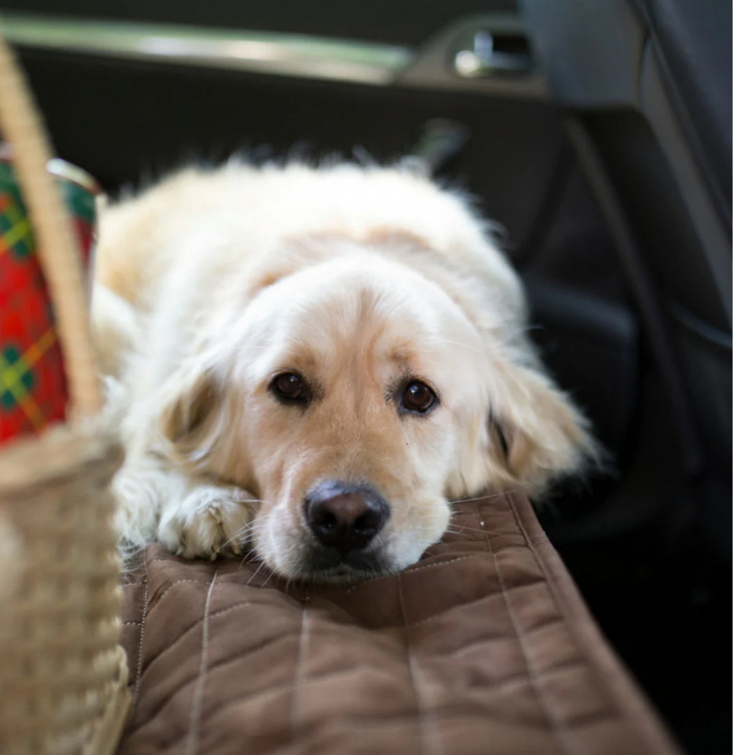 Waterproof Car Seat or Couch Cover