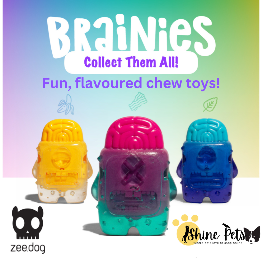 Zee.Dog Brain Chew Toys-Liberty Pet Products-Brain Freeze (Blue)-Shine Pets