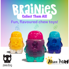 Zee.Dog Brain Chew Toys