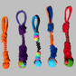 Bungee tug toy - all in one