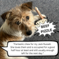 Beef Pizzle Chew/Bully Stick-Chew-Superior Pet Food-15cm - 1 for $6.50-Shine Pets