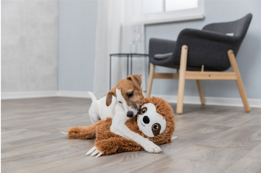 Sloth Plush-Brooklands-Shine Pets