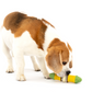 Petsafe Busy Buddy Cravin Corncob