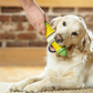 Petsafe Busy Buddy Cravin Corncob