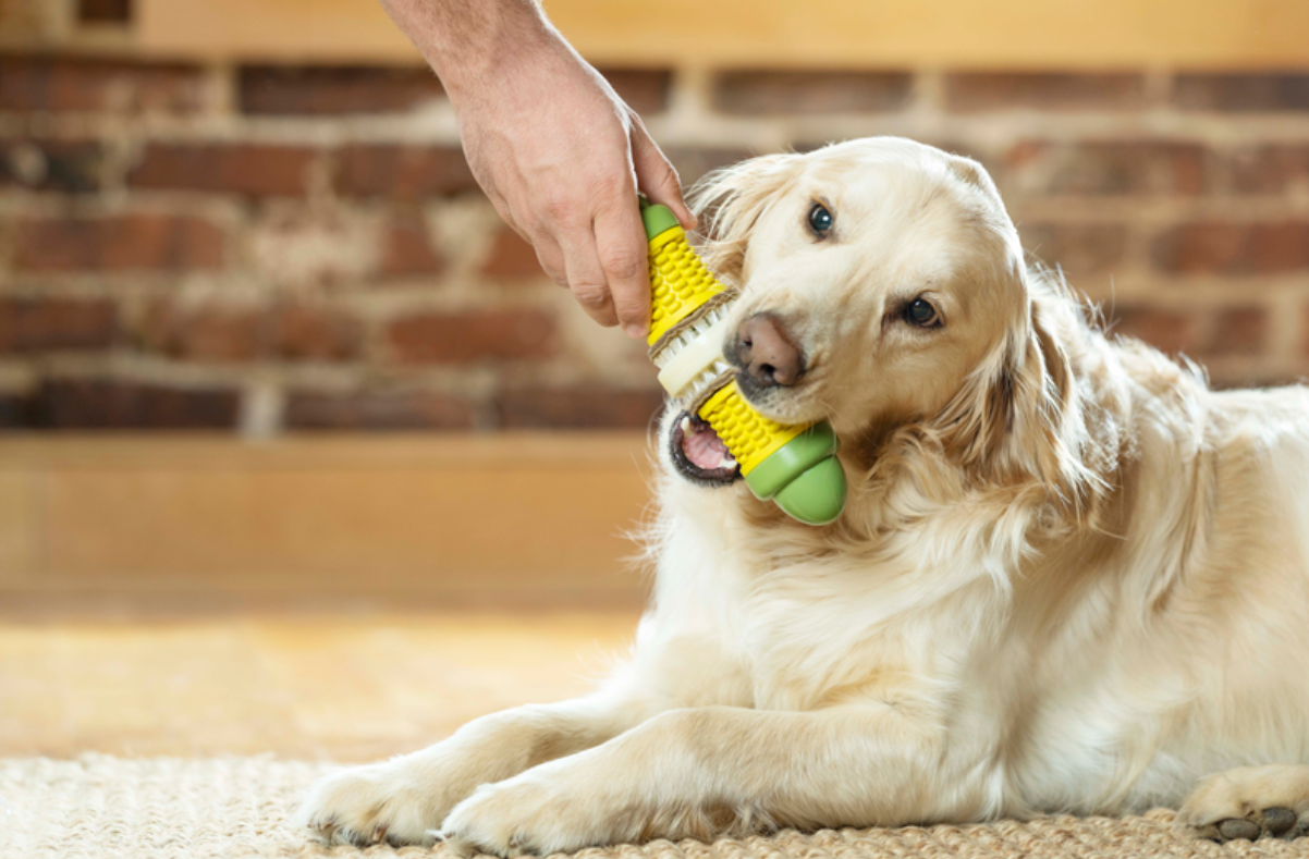 Petsafe Busy Buddy Cravin Corncob