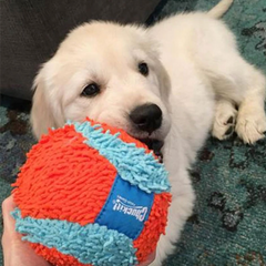 Chuckit! Indoor Ball