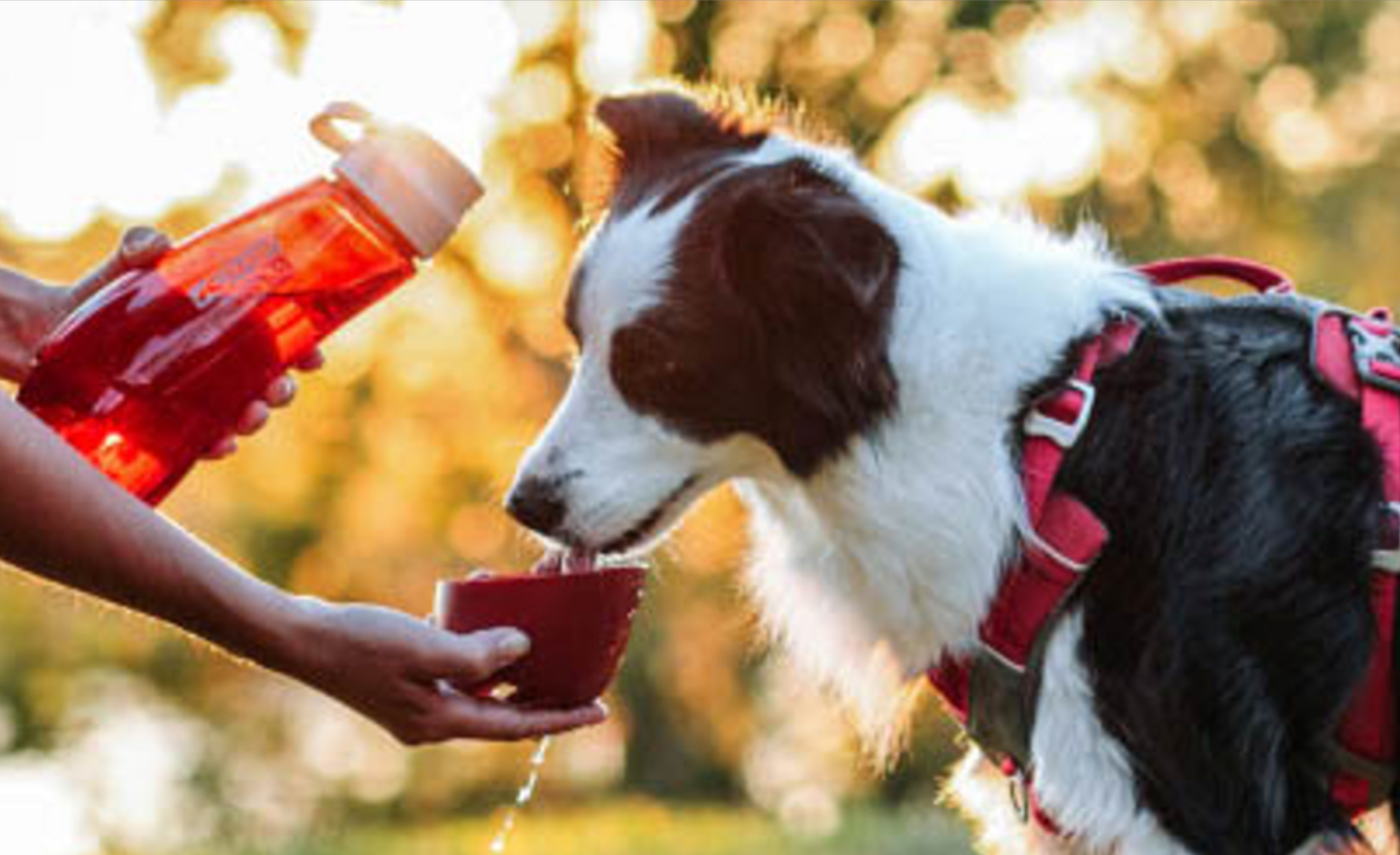 Kurgo Gourd H2O Bottle & Bowl - Red