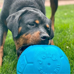 Jolly Soccer Ball