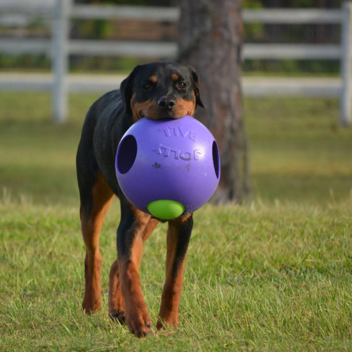 Jolly Teaser Ball