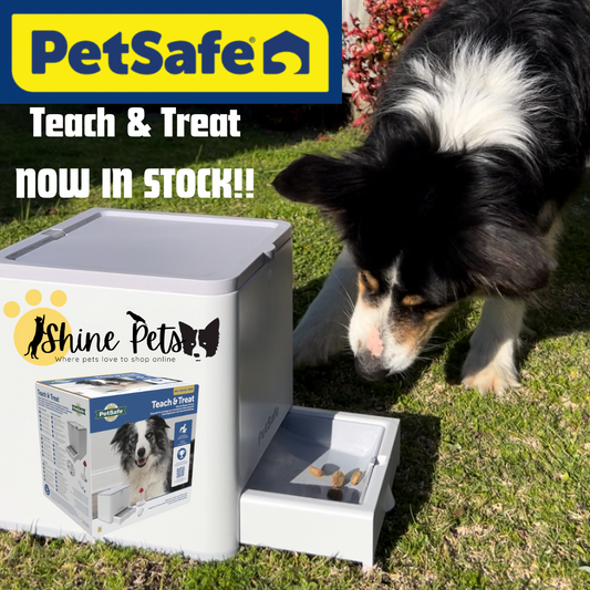 PetSafe Teach & Treat Remote Reward Trainer-Animals & Pet Supplies-Brooklands-Shine Pets