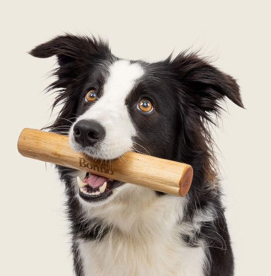 BONNO - The Mānuka Chew for Dogs