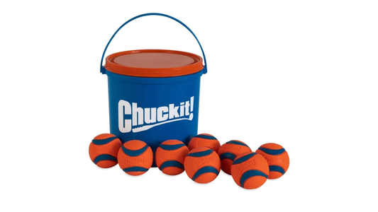 Chuckit! Bucket-Toy-Brooklands-Shine Pets