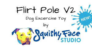 Squishy face studio outlet flirt pole